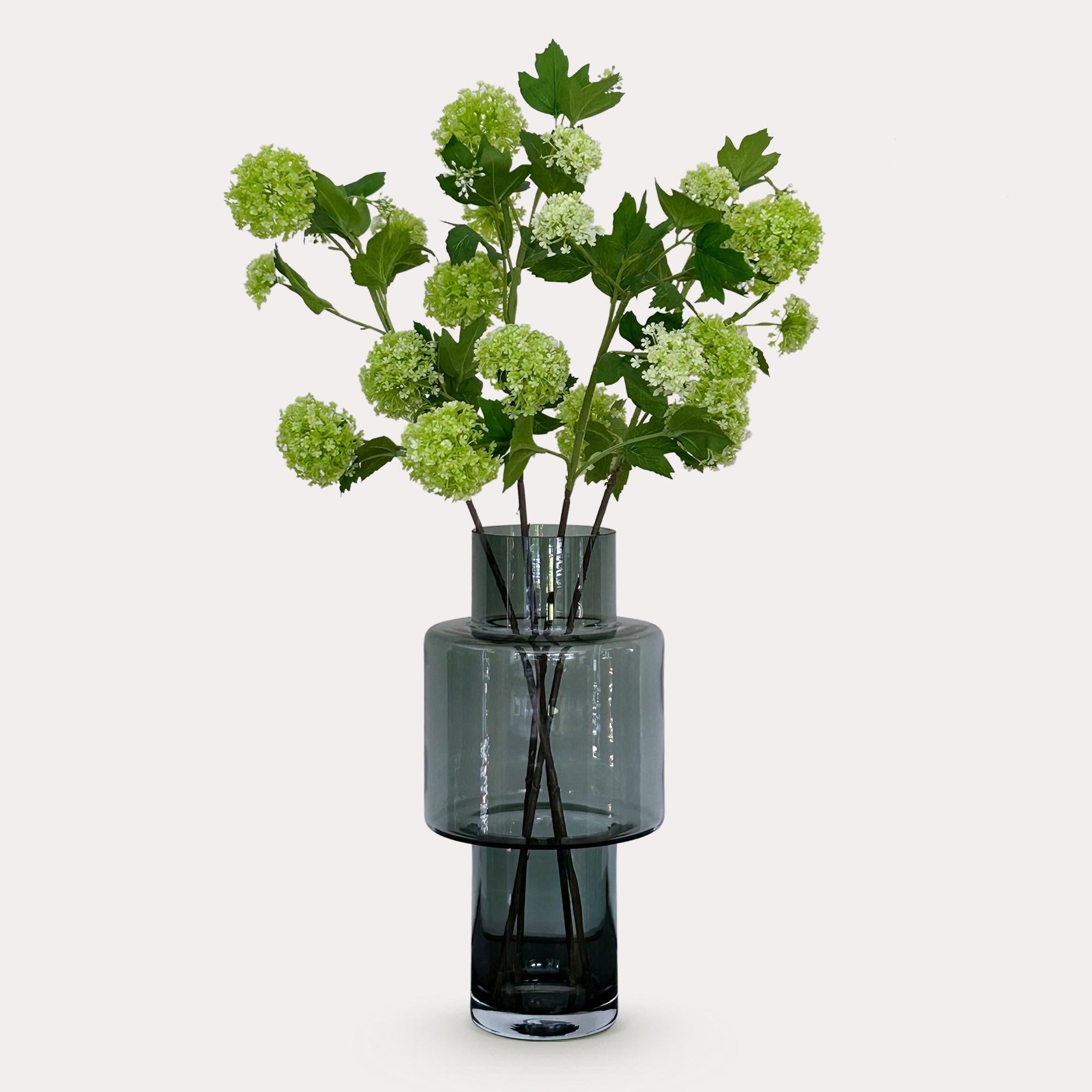 Viburnum Opulus grene - x4 - 75cm