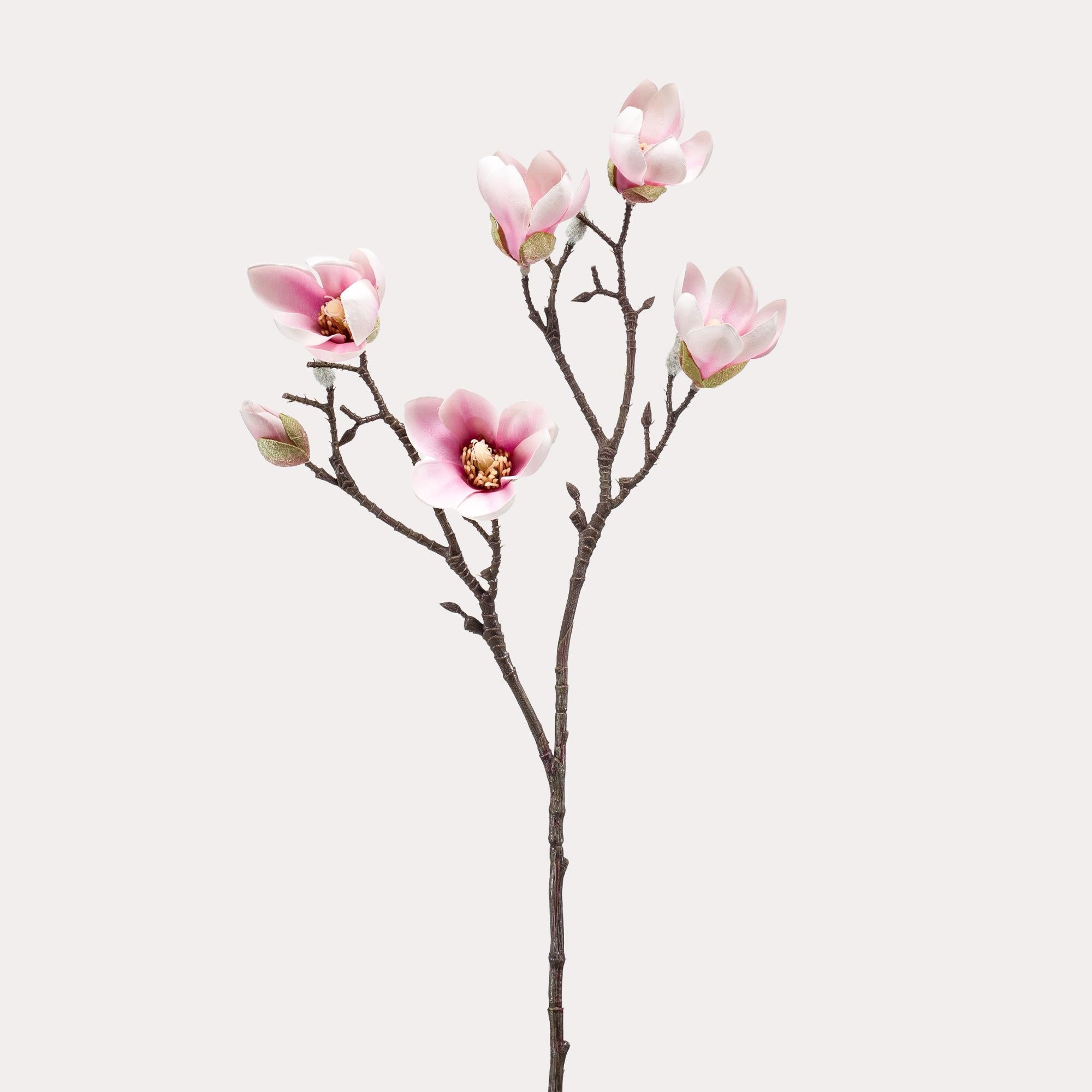 Magnolia blomst Pink x8 - 65cm